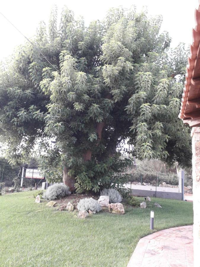 Agriturismo Quattro Mori Porto Torres Eksteriør bilde